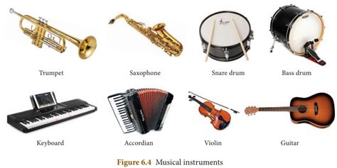 Musical Instruments - Sound | Chapter 6 | 8th Science