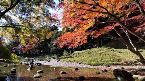 Koishikawa Korakuen Autumn Festival | Things to do in Tokyo