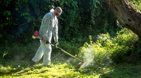 3 Best Brush Cutter Blades For Thick Grass – Fun In The Yard