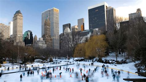 Winter In New York 2024 - Erika Jacinta