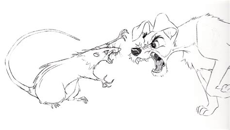 Walt Disney Sketches - The Rat & The Tramp - Walt Disney Characters Photo (34266244) - Fanpop