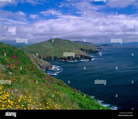 Bantry Bay, County Cork, Ireland Stock Photo - Alamy