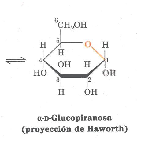 biologiacelular: "HIDRATOS DE CARBONO