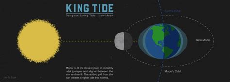 King Tides ? The Highest of the Tides + The King Tide Schedule