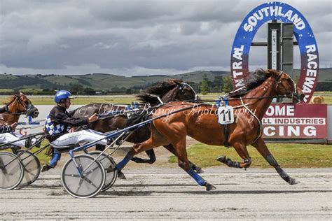 Winton Harness Racing Club | Winton NZ