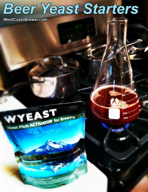 Yeast Starter Directions - Homebrewing - Home Brewers Blog