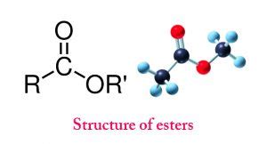 What Are Esters? - Formation, Properties And Uses » ScienceABC