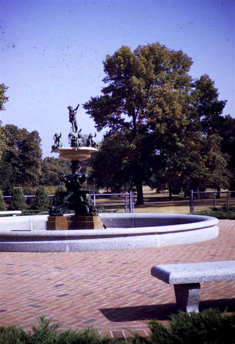 Lake Harriet Rose Garden – David Tewes, Shutterbug