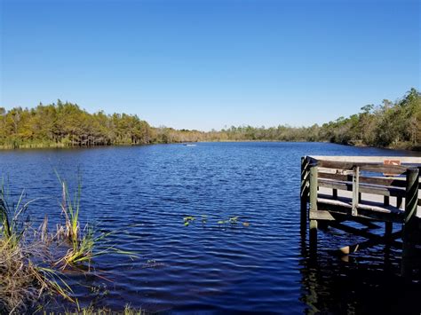 A Guide to the Six Mile Cypress Slough Preserve in Ft. Myers Florida - That Was A First