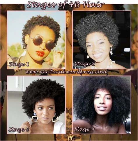 Pin by Jazzie Vnatural on Stages of Natural Hair | Natural hair ...