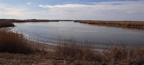 Quivira National Wildlife Refuge - Alchetron, the free social encyclopedia