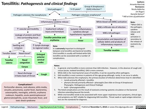 Tonsillitis: Pathogenesis and clinical findings | Calgary Guide