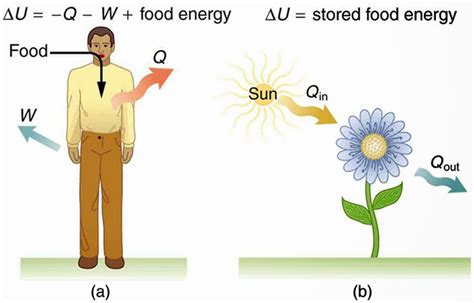 النظريات الأساسية في الفيزياء :الديناميكا الحرارية Basic theories in physics: Thermodynamics ...