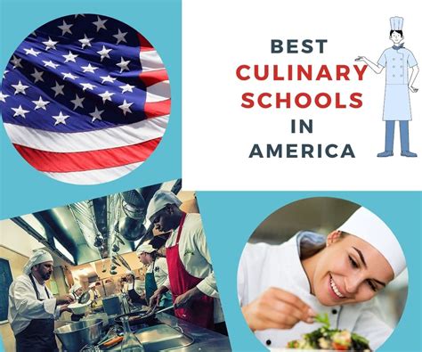 Best 11 Culinary Schools in Florida - Chef's Pencil