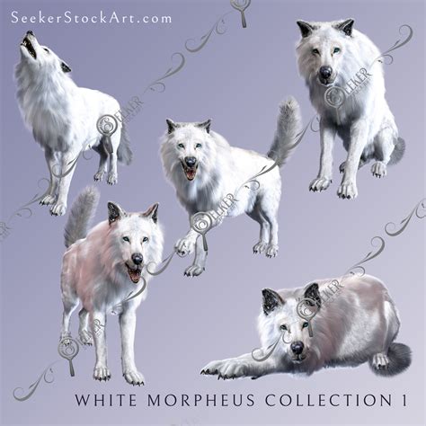 Morpheus White Dire Wolf Collection 1 | Seeker Stock Art