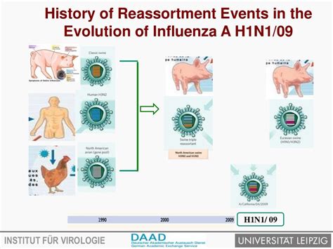 Avian influenza virus and transmission