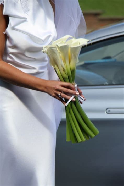 Beautiful Bridal Bouquet of Arum Lilies | White wedding flowers, Lily bridal bouquet, Beautiful ...