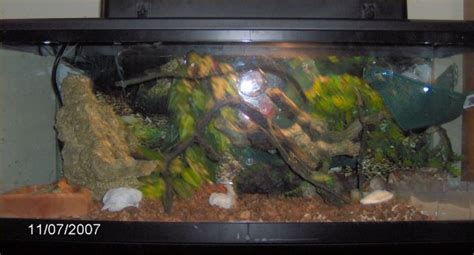 20 Gallon Reptile Tank - Reptile Tanks For SaleReptile Tanks For Sale