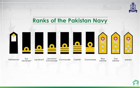 All About Ranks in the Pakistan Armed Forces | Zameen Blog