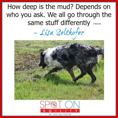 How deep are you in the mud? We are in it together. | Dogs doing funny ...