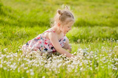 Happy Little Girl in Summer Dress with Pigtails in a Green Field of ...