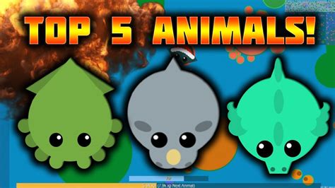 MOPE.IO TOP 5 ANIMALS! // TOP 5 ANIMALS IN MOPE.IO!!! (Mope.io Gameplay ...