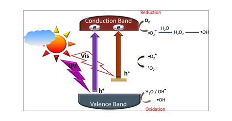 New Insights into the Mechanism of Visible Light Photocatalysis | The ...