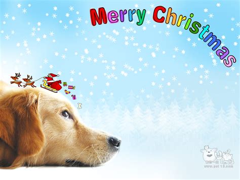 Christmas Puppies Wallpapers Free - WallpaperSafari