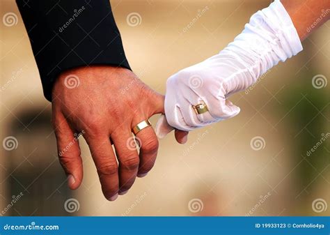 Wedding Couple Holding Hands Stock Photos - Image: 19933123