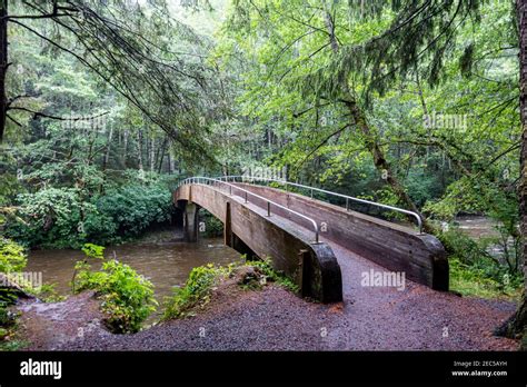 Sitka National Historical Park in Sitka, Alaska Stock Photo - Alamy