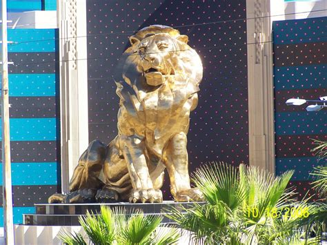 MGM Studios lion | MGM lion | Christi_A | Flickr