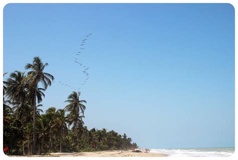 Caribbean Vibes and a Giant Scare in Palomino, Colombia - GlobetrotterGirls