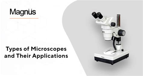 Let's Understand The Different Types Of Microscopes - Magnus Blog | Microscopes and Medical ...