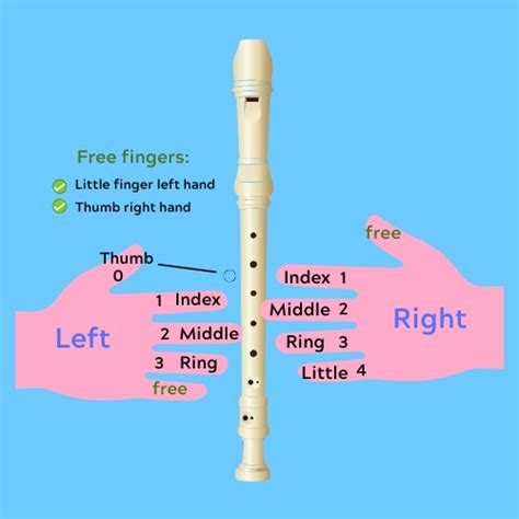 🥇How to Play the Recorder🥇 Learn it NOW ! with【SONGS】