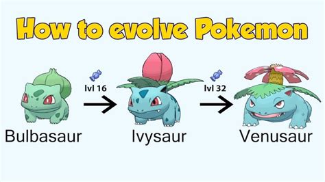 Bulbasaur evolutions - Mestre Pokemon