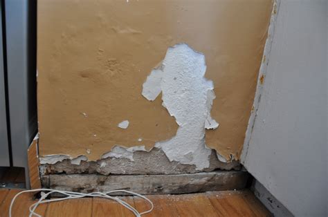 repair - Repairing bubbling (blown) plaster on an interior wall - Home Improvement Stack Exchange