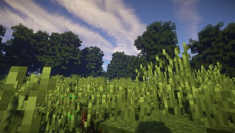 Custom realistic terrain-Magic forest Minecraft Map