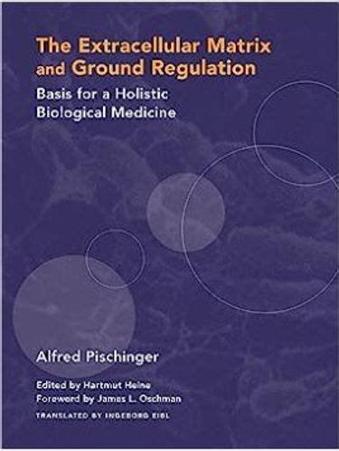 The Extracellular Matrix and Ground Regulation: Basis for a Holistic ...