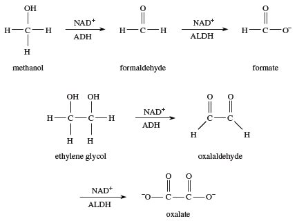 Alcohol - Reactions, Chemistry, Uses | Britannica