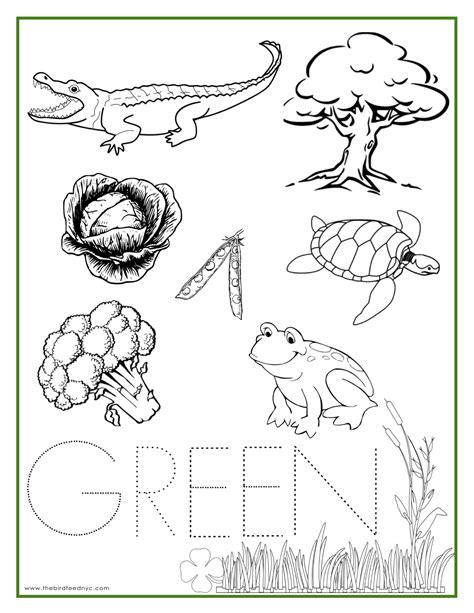 Worksheet Related To Green Colour | Coloring Worksheets