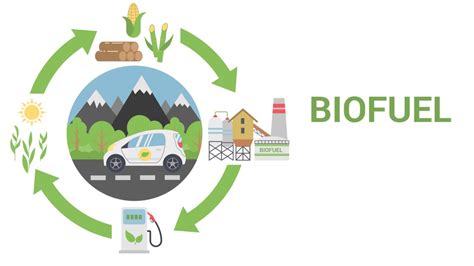 Biofuel sector. A waiting game