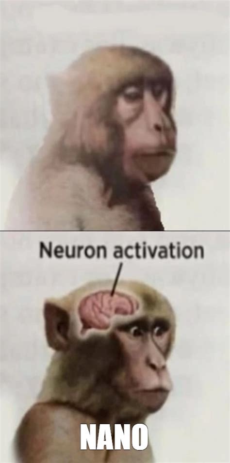 Create meme "neuron activation meme, meme monkey neuron activation ...