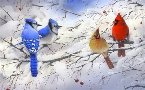 Wallpapers Id - - Winter Scene With Birds (#266325) - HD Wallpaper & Backgrounds Download