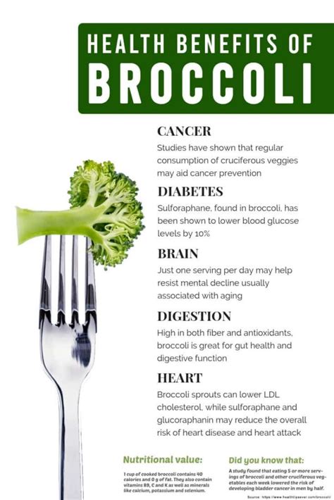 8 Broccoli Benefits: Why You Should Start Eating | HealthtoStyle