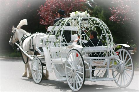 Hire Dream Horse Carriage Company - Horse Drawn Carriage in Jackson ...