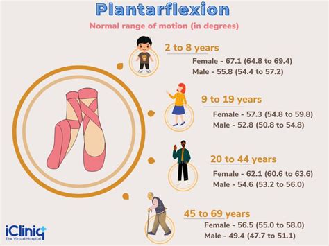 Plantar Flexion Range Of Motion