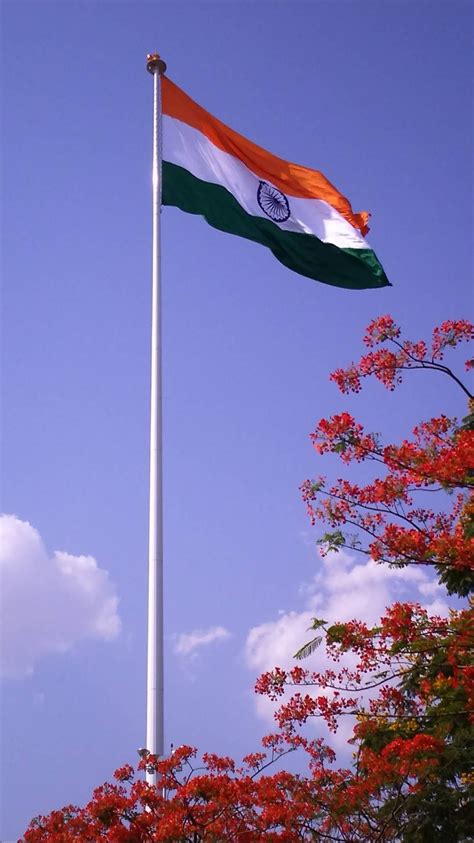 Tiranga flag – Artofit