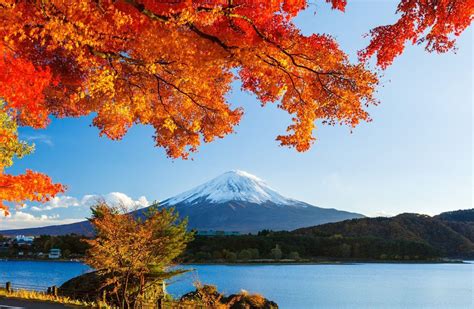 Japanese Autumn Desktop Wallpapers - Top Free Japanese Autumn Desktop Backgrounds - WallpaperAccess