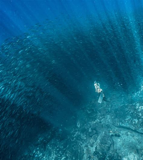 The Best Snorkeling on the Big Island of Hawaii