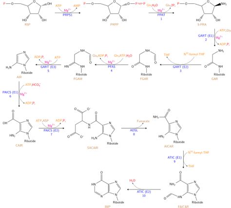 Nucleotide - Wikipedia